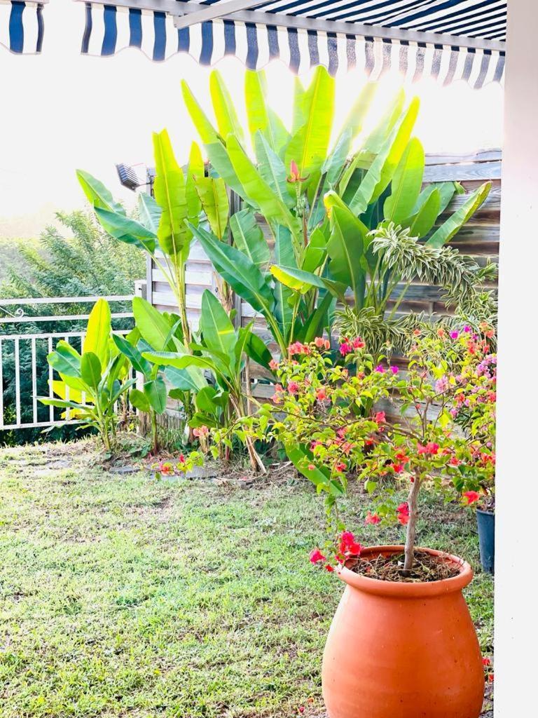 Villa Avec Vue T2 A T5 Duo De La Baie 勒罗贝尔 外观 照片